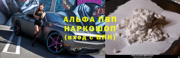 сатива Володарск
