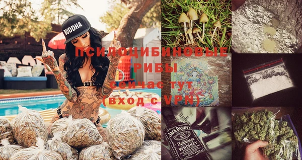 твердый Вязники
