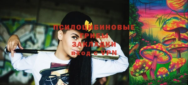 сатива Володарск