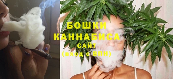сатива Володарск