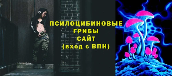 хмурый Волосово