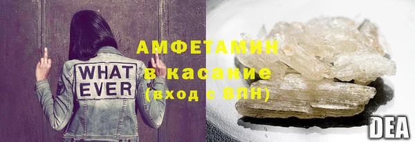 ПСИЛОЦИБИНОВЫЕ ГРИБЫ Бородино