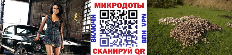 Псилоцибиновые грибы MAGIC MUSHROOMS  Ивантеевка 