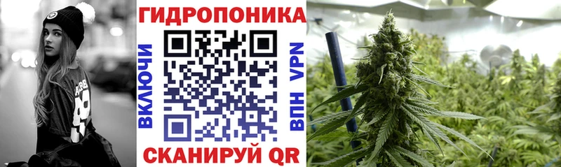 Каннабис ГИДРОПОН наркошоп Ивантеевка